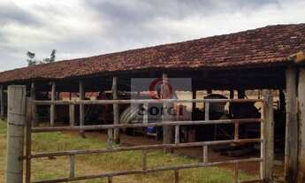 Imagem 14: Sítio à venda, 491000 m² por R$ 4.000.000,00 - Zona Rural - Ribeirão Bonito/SP