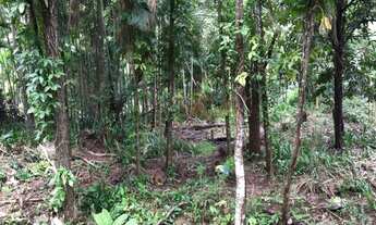 Imagem 3: Lote / Terreno em Cascatinha - Nova Friburgo