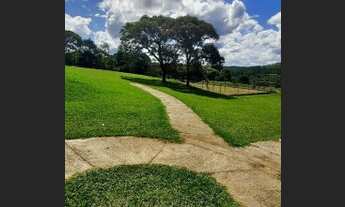 Imagem 6: CONSELHEIRO LAFAIETE - Terreno Padrão - Cidade Jardim