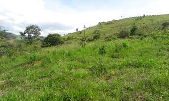 Imagem 2: Vendo 1 Alqueire ( 24.200m²