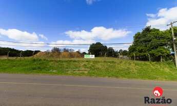 Imagem: Terreno no BUTIATUVINHA de 7540,00 m2