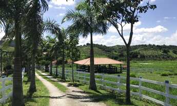 Imagem: BELO HARAS FAZENDA A 50 MINUTOS DA CAPITAL