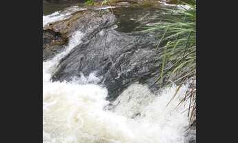 Imagem 2: Sítio 3 Alqueires