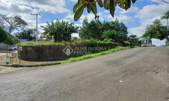 Imagem 7: NOVO HAMBURGO - Terreno Padrão - Vila Nova