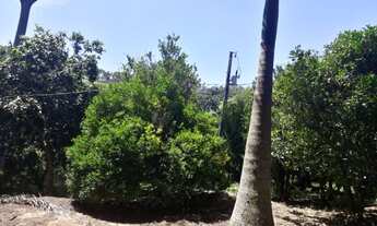 Imagem 5: Sitio 17 Hectares Aceito Permuta em Passa Tempo MG