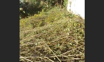 Imagem 4: Terreno Jardim alegria 311 m2