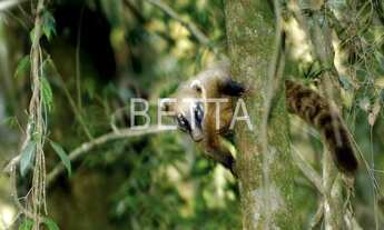 Imagem 5: 22666 - Casa 4 Dorms. (4 Suítes), GENESIS II - SANTANA DE PARNAÍBA/SP