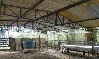 Imagem 6: Fazendinha oportunidade