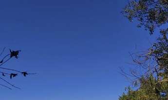 Imagem 6: Lote/Terreno para venda tem 9132 metros quadrados em Maracanã - Jarinu - SP