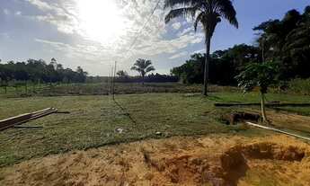 Imagem 5: Vendo Terra a 5km de Tome Açu