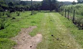 Imagem 2: São Carlos - Sítio - Sítio