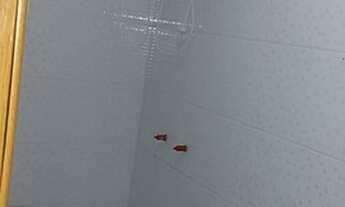 Imagem 4: CAXIAS DO SUL - Apartamento Padrão - DESVIO RIZZO