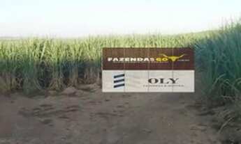 Imagem 4: OPORTUNIDADE ! Fazenda Extra - Município de Itapuranga - 30 Alqueires !