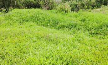 Imagem 9: Terreno Rural para Venda, 64.493,00 m², São Bento do Sul / SC, bairro Alpino