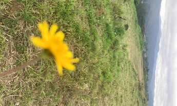 Imagem 3: R5- Promoção de terrenos com entrada de 20k. Lotes de 1.000 metros quadrados