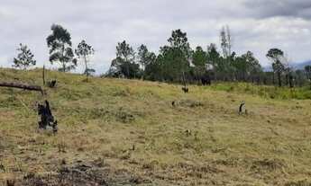 Imagem 2: Inaugure hoje Terreno / lote com venda por R$50.000