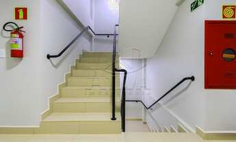 Imagem 4: Toledo - Apartamento - Jardim Pancera