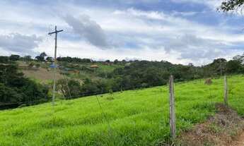 Imagem 6: Fazendinha em Itatiaiuçu - 12 Hectares - Rica em água