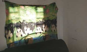 Imagem 6: GOIâNIA - Casa Padrão - Conjunto Habitacional Madre Germana II