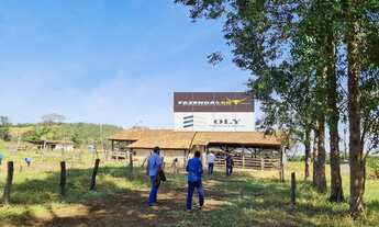 Imagem 3: Fazenda de Oportunidade ! São 25 Alqueires ! Região de Heitoraí !