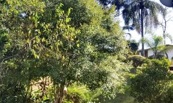 Imagem 7: Lote/Terreno para venda tem 9132 metros quadrados em Maracanã - Jarinu - SP