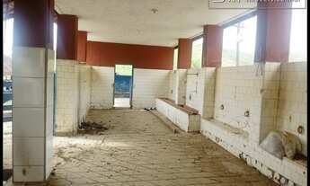 Imagem 4: FAZENDÃO 220 ALQUEIRES PARA LEITE/CORTE - CRUZEIRO - SP