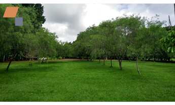 Imagem 6: Chacara MARINGÁ - PR