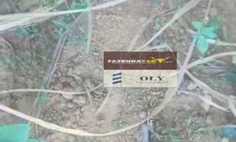 Imagem 6: OPORTUNIDADE ! Fazenda Extra - Município de Itapuranga - 30 Alqueires !