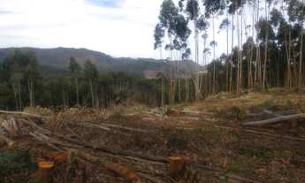 Imagem 3: Salesópolis - SP, lotes e terrenos