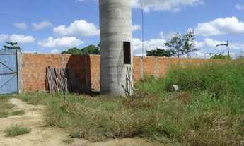 Imagem 6: Terreno Comercial para Venda em São Gonçalo do Amarante, VIOLETE