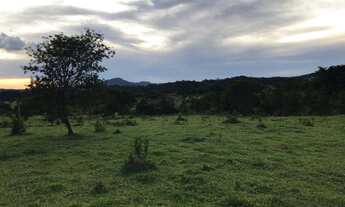 Imagem 4: Sítio 5 alqueires Petrolina de Goiás ( chácara