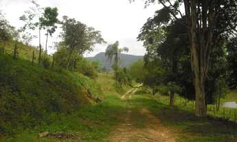 Imagem 4: COD:778 Sitio com 20 alqueires