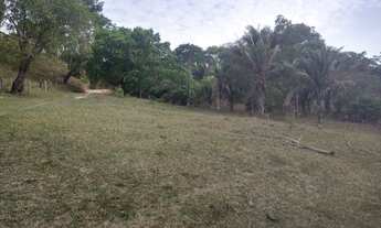 Imagem 2: Fazendinha oportunidade