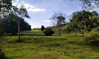 Imagem 3: VENDO FAZENDA COM 83 HECTARES