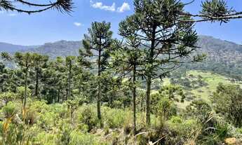 Imagem 2: Chácara em Urubici