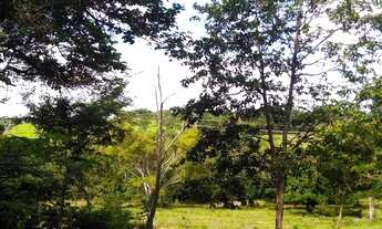 Imagem 5: Rural Fazenda / sítio com venda por R$34.000.000
