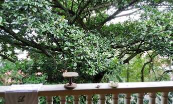 Imagem 3: MANSÃO MAGNIFICA - CERCADA DE VERDE - VARANDA - 6 QUARTOS - 2 SUITE MASTER - ÁREA EXTERN