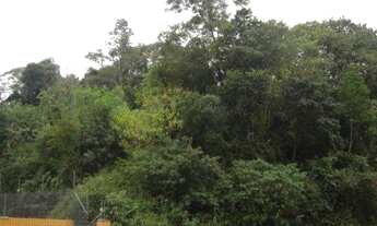 Imagem: Terreno Cidade Nova Ivoti