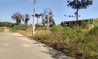 Imagem 3: Terreno Fazenda Rio Grande, Jardim Brasil