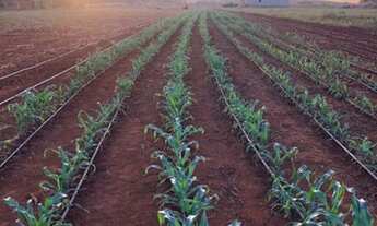 Imagem 2: EXCELENTE FAZENDA PRÓXIMA DE PALMAS