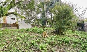 Imagem 6: CURITIBA - Terreno Padrão - Jardim Social