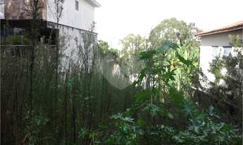 Imagem 7: Comercial-São Paulo-IPIRANGA