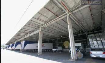 Imagem 7: Galpão industrial para locação, Macedo, Guarulhos