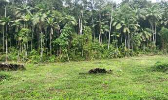 Imagem 4: Pomerode - Sítio - Testo Central