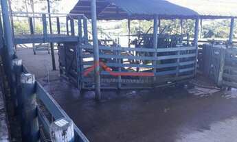 Imagem 7: Tietê - Sítio - Área Rural