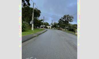 Imagem 5: TERRENO QUATRO BARRAS - PR