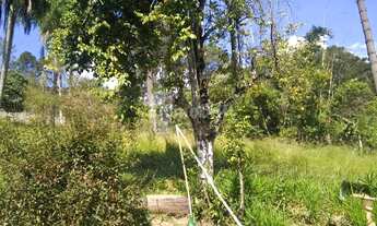 Imagem 5: CHÁCARA PRÓXIMO A ROSELÂNDIA