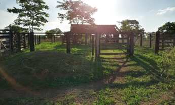 Imagem 2: Vendo fazenda em Fátima de 50 alq