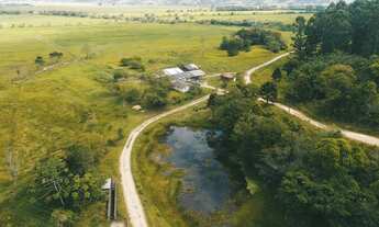 Imagem 4: Fazenda com 204 HA à venda em Penha, Paulo Lopes