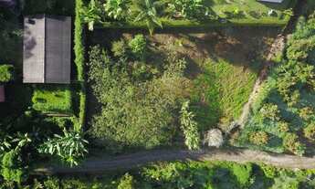 Imagem 7: Lote / Terreno em Cônego - Nova Friburgo